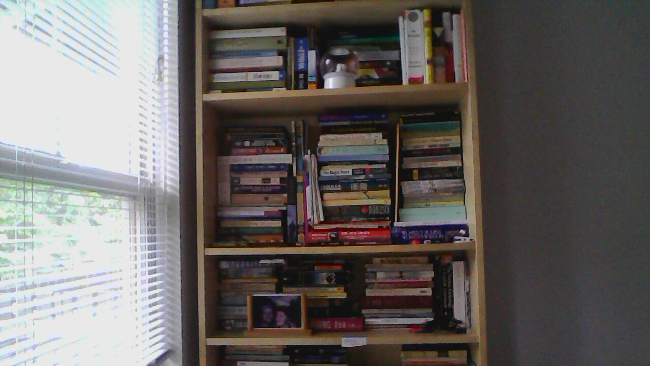 The middle third of our bookshelf. 